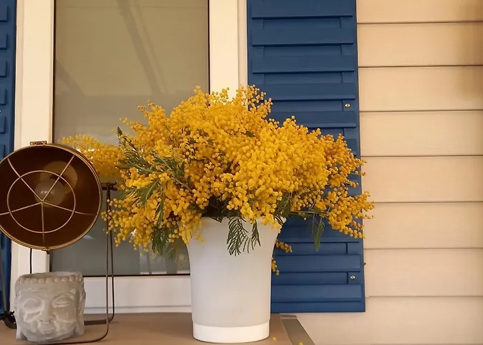 Кемпинг Azur072 *